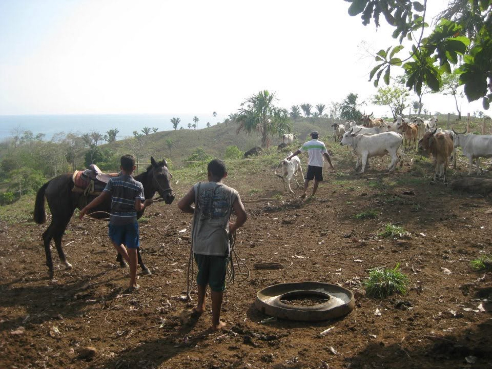 Rural youth in Panama engaged in practical, hands-on activity